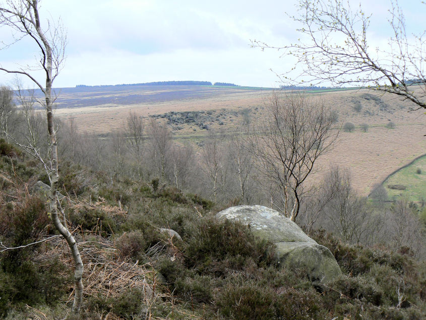 Gibbet Moor Gibbet Moor